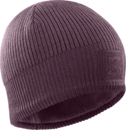 Salomon Logo Beanie (Winetasting/Mauve Wine)